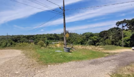 Terreno à venda, 10246 m  por R  2.499.000,00 - Centro - Tijucas do Sul PR