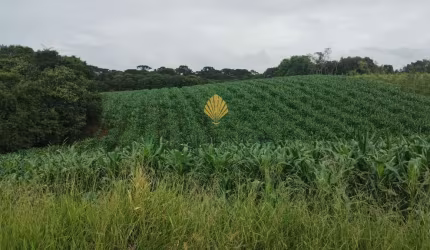 Chácara à venda, 25.110 m2 por R  1.374.000,00 - Cachoeira - São José dos Pinhais PR