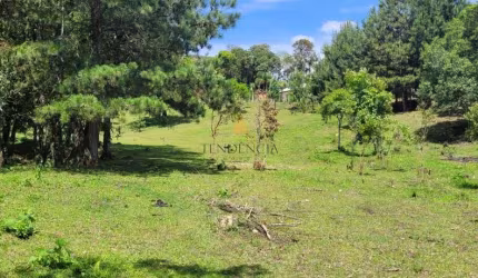 Chácara à venda, 29519 m  por R  400.000,00 - Tabatinga - Tijucas do Sul PR