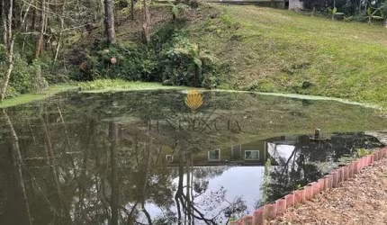 Chácara à venda, 12859 m2 por R  989.000,00 - Área Rural de São José dos Pinhais - São José dos Pinh