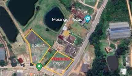 Terreno à venda, 3093 m  por R  950.000,00 - Cachoeira - São José dos Pinhais PR