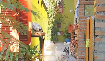 Casa / Sobrado à Venda em Vila Morse  -  São Paulo