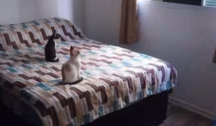 Venda de Apartamento 1 Dormitório em Jardim João XXIII - SP