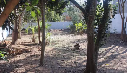 Terreno no bairro Tapera da Base - Oportunidade de investimento