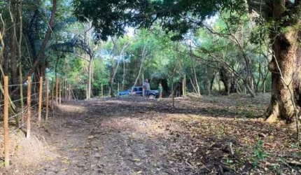 Terreno à venda, 5.300 m² por R$ 300.000 - Lagoa Aruá- Praia do Forte- Mata de São João/BA