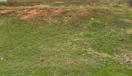Explore todo o potencial deste lote excepcionalmente localizado dentro do renomado condomínio Alphaville Litoral Norte 2.