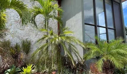 Casa com 5 dormitórios à venda, 310 m² por R$ 2.990.000,00 - Praia do Forte - Mata de São João/BA