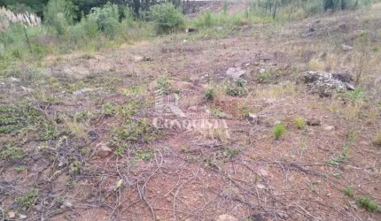Terreno à venda na L, 4, Centro, Flores da Cunha por R$ 250.000
