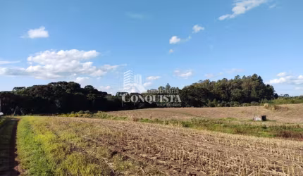 Terreno à venda na 1° Distrito de Farroupilha, Linha Palmeiro, Farroupilha por R$ 7.500.000