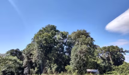Terreno à venda na Rua Dionysio Adami, 9999, Nossa Senhora das Graças, Caxias do Sul por R$ 5.900.000