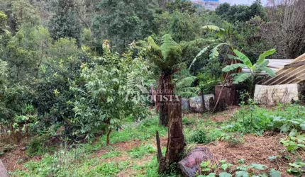 Terreno à venda na Rua Orestes Zoppas, 8, Charqueadas, Caxias do Sul por R$ 265.000