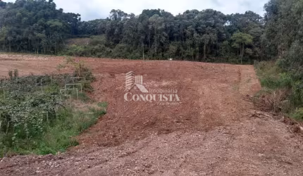 Terreno à venda na x, 22, Parada Cristal, Flores da Cunha por R$ 790.000