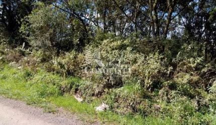 Terreno à venda na Estrada Municipal Attílio Citton, 5, Santo Antônio, Caxias do Sul por R$ 370.000