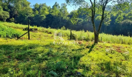 Chácara / sítio à venda na Travessa Santa Rita, 02, São Pedro da Terceira Légua, Caxias do Sul por R$ 540.000