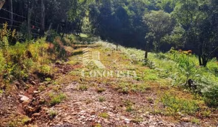 Chácara / sítio à venda na Travessa Santa Rita, 1, São Pedro da Terceira Légua, Caxias do Sul por R$ 300.000