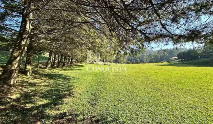 Chácara / sítio com 3 quartos à venda na Rota do Sol, 46, Fazenda Souza, Caxias do Sul por R$ 1.600.000