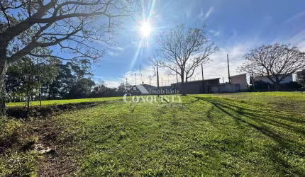 Terreno comercial para alugar na Rua Barão Das Amazonas, Treviso, Caxias do Sul por R$ 15.000