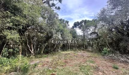 Chácara / sítio à venda na Fazenda dos Ilheus, 001, Vila Seca, Caxias do Sul por R$ 159.000