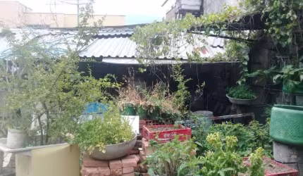 Lote - Terreno à venda, Colégio Batista - Belo Horizonte/MG