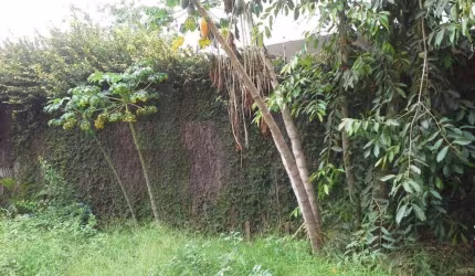 Lote - Terreno à venda, 2 vagas, Itapoã - Belo Horizonte/MG