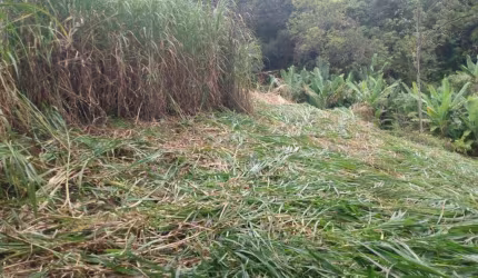 Lote - Terreno à venda, Chácaras Bom Retiro - Ribeirão das Neves/MG