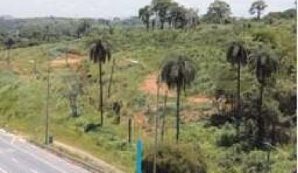 Lote - Terreno à venda, Andiroba - Ribeirão das Neves/MG