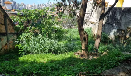 Lote - Terreno à venda, São Bento - Belo Horizonte/MG