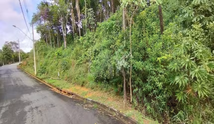 Lote em Condomínio à venda, Canto da Mata - Nova Lima/MG