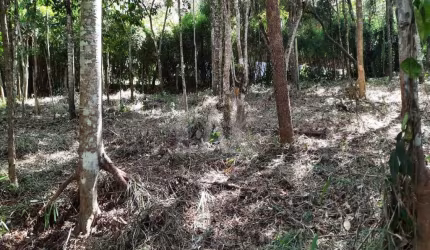 Lote em Condomínio à venda, Estância Serrana - Nova Lima/MG
