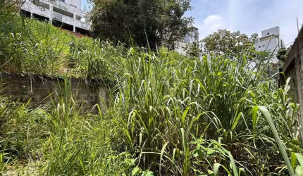 Lote - Terreno à venda, Ouro Preto - Belo Horizonte/MG