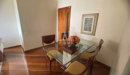 Apartamento à venda, 3 quartos, 1 suíte, 2 vagas, Nova Suíssa - Belo Horizonte/MG