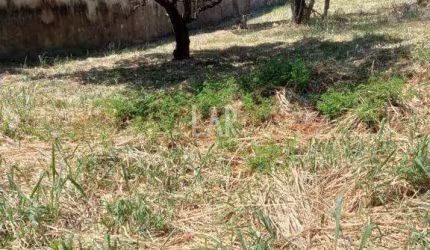 Lote - Terreno à venda, Bandeirantes (Pampulha) - Belo Horizonte/MG