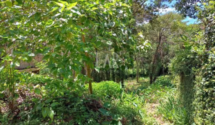 Lote em Condomínio à venda, Ville de Montagne - Nova Lima/MG