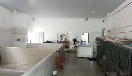 Galpão 200m2 Aluguel Bairro Caiçara BH MG
