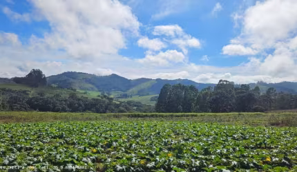 Sítio para Venda em Caldas, Bom Retiro, 3 dormitórios, 1 suíte, 1 banheiro, 2 vagas