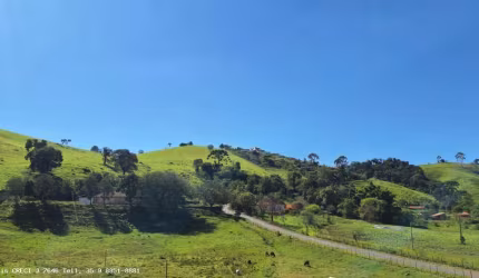 Chácara para Venda em Caldas, Ribeirão das Campinas