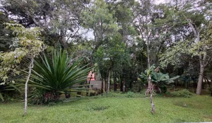 Terreno à venda, 700 m² por R$ 219.000,00 - Colina (Caucaia do Alto) - Cotia/SP