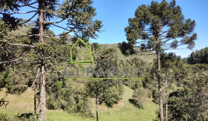 TERRRENO ALTO rico em ARAUCÁRIAS, A VENDA com 14 HECTARES - RANCHO QUEIMADO SC