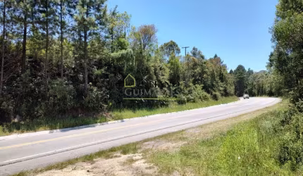 ÓTIMO TERRENO com 87 hectares á venda PRÓXIMO À BR282 - RANCHO QUEIMADO SC