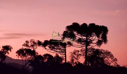 ÓTIMO TERRRENO com 35 HECTARES À VENDA - RANCHO QUEIMADO SC