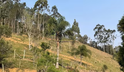 TERRENO com 5 hectares Á VENDA, com EXCELENTE LOCALIZAÇÃO, ANGELINA - SC