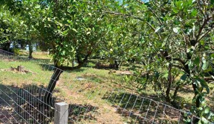 Fazenda à venda na José Antônio Daud, 60, Costa do Ipiranga, Gravataí, 2640 m2 por R$ 330.000