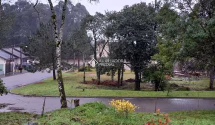 Terreno à venda na Palmeiras, 110, Centro, Gramado, 464 m2 por R$ 650.000