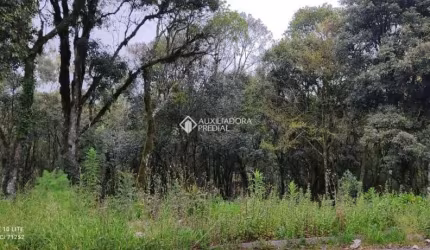 Terreno à venda na Vinicius De Moraes, 1, Vila do Cedro, Canela, 611 m2 por R$ 266.000