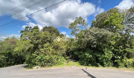 Terreno à venda na João Aloí­sio Hartz, 1, Centro, Gramado, 10846 m2 por R$ 1.100.000