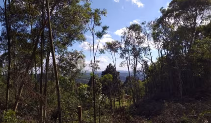 Terreno à venda na Campestre do Tigre, 100, Centro, Gramado, 50000 m2 por R$ 4.000.000