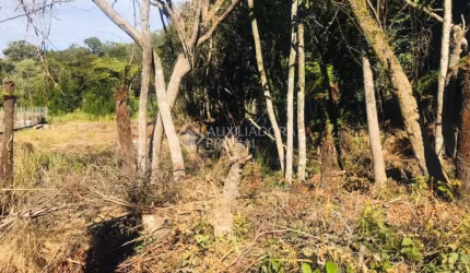Terreno em condomínio fechado à venda na EDYE PAULO RAYMUNDO, 27, Centro, Canela, 790 m2 por R$ 460.000