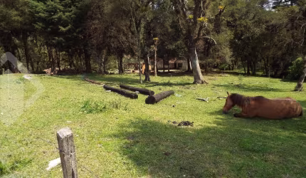 Terreno em condomínio fechado à venda na PRESIDENTE JOAO GOULART, 149, Centro, Canela, 4825 m2 por R$ 1.060.000