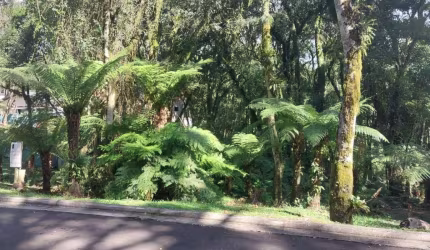 Terreno em condomínio fechado à venda na Rua Prefeito Waldemar Frederico Weber, 1815, Mato Queimado, Gramado por R$ 1.600.000