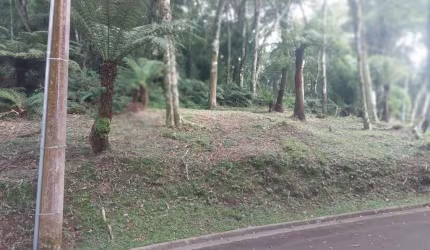 Terreno em condomínio fechado à venda na Rua Prefeito Waldemar Frederico Weber, 1815, Mato Queimado, Gramado por R$ 1.590.000